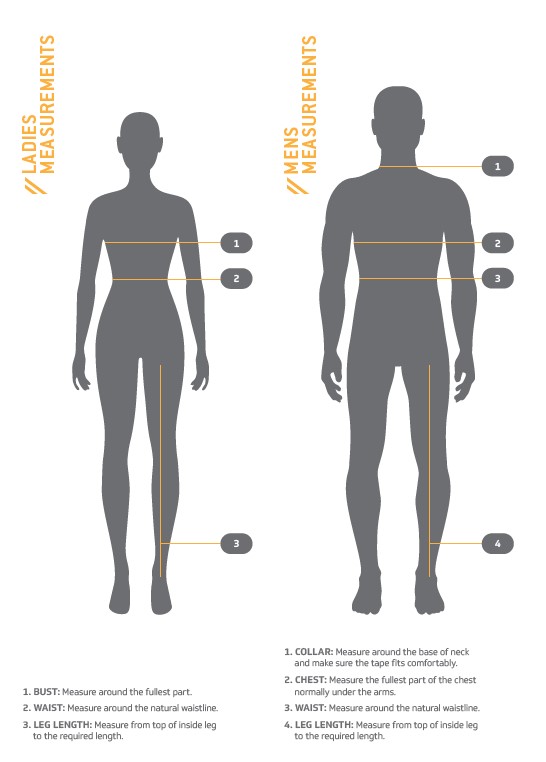 body measurement diagram